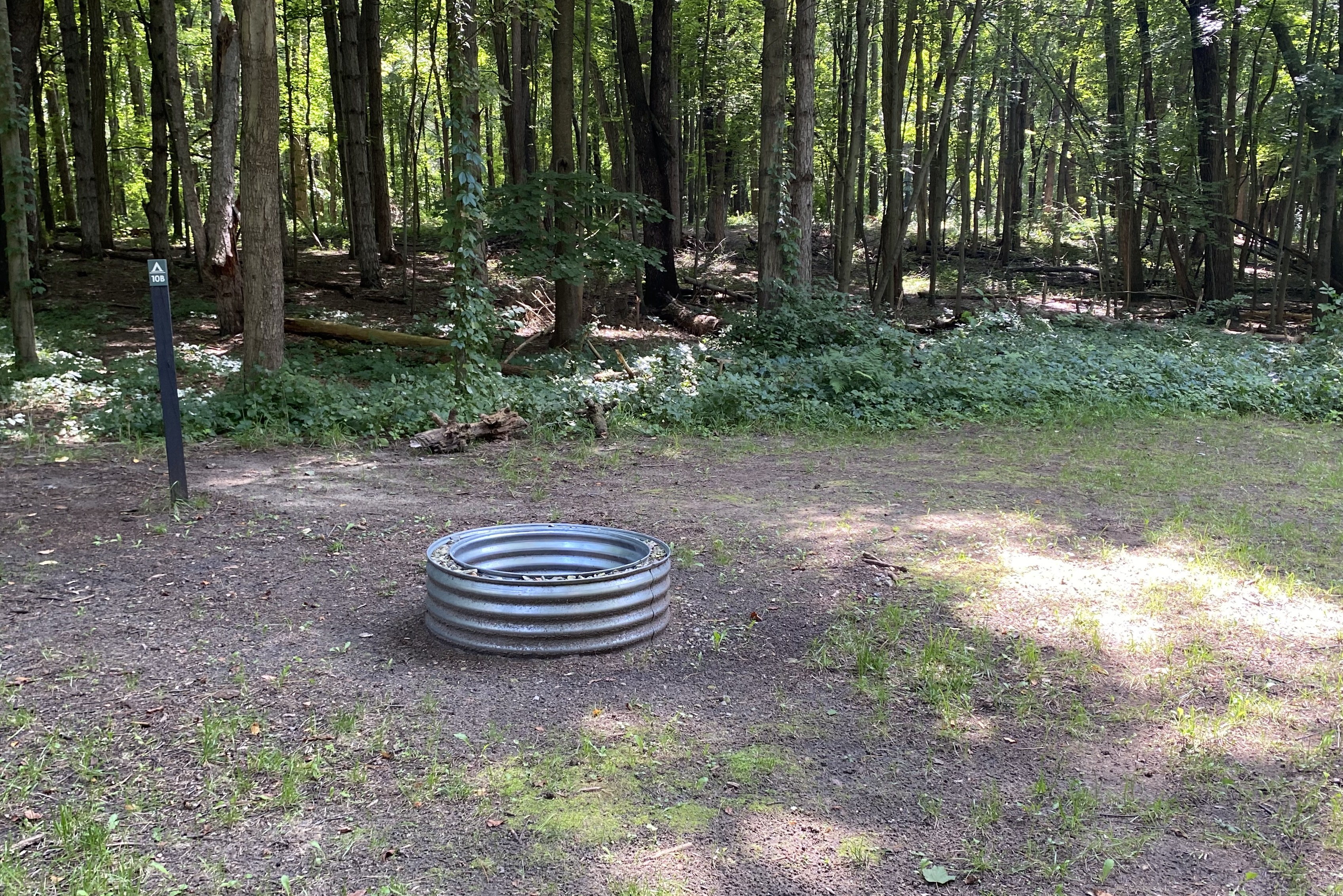 Image for Tent Site 10b (part of group site)